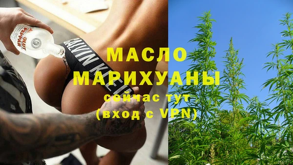 сатива Ростов