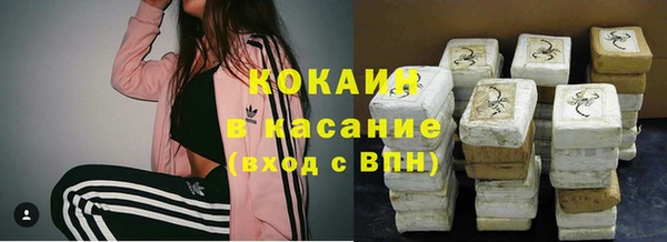 сатива Ростов