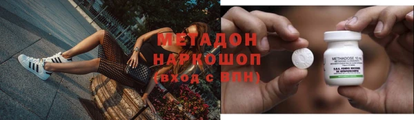 сатива Ростов