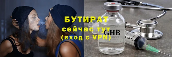 сатива Ростов