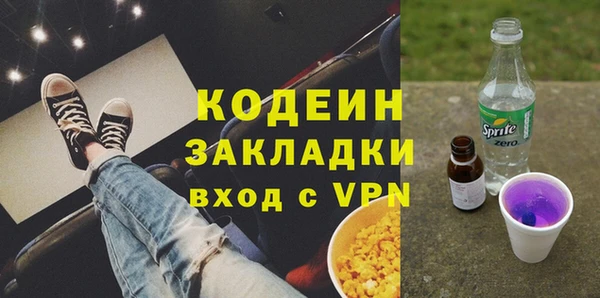 гашик Козельск