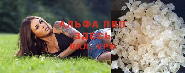 сатива Ростов