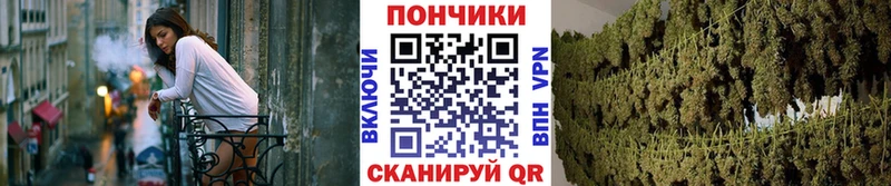 Бошки марихуана OG Kush  цены   Катайск 